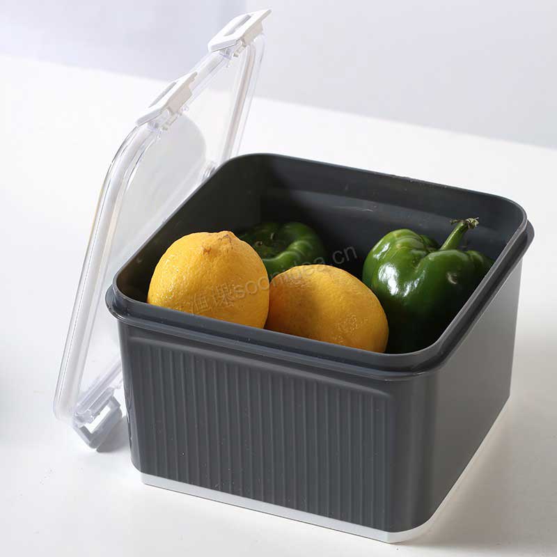 2600ml New OEM Kitchen PP Material Beans Rice Food Storage Box