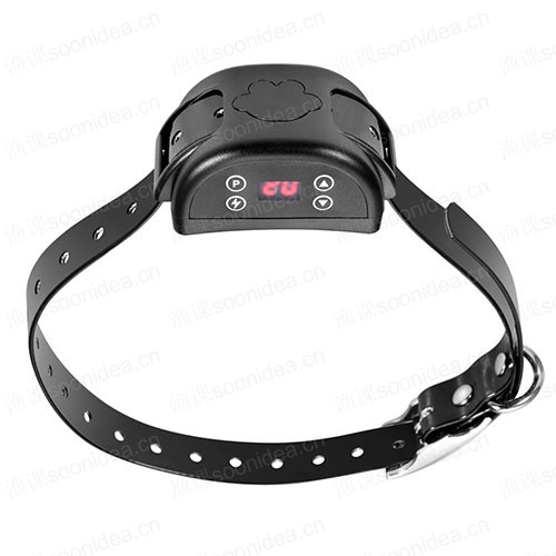 Pet collars and various items