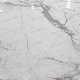 Royal White Marble