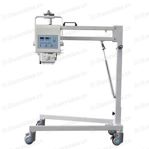 Portable electric patient lift