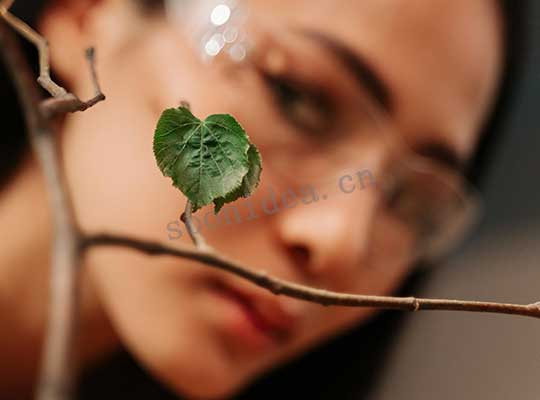 Glass Lenses