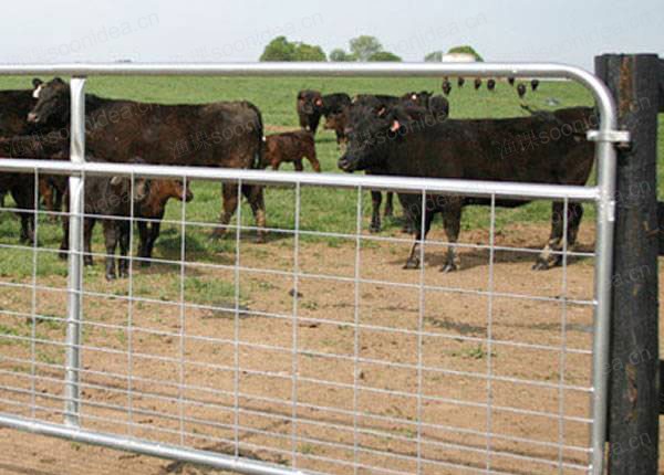 Various types of fences