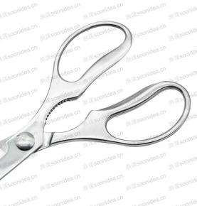 Multipurpose Stainless Steel Kitchen Scissors