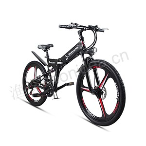 Electric bicycle outdoor