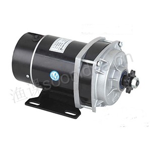 Electric vehicle motor