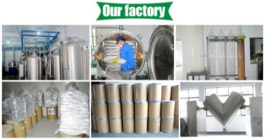 Photos of Factory