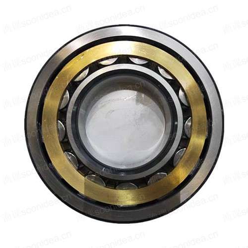 Roller bearings and ball bearings