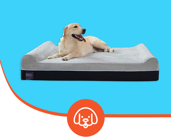 Orthopedic Beds